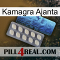 Kamagra Ajanta 34